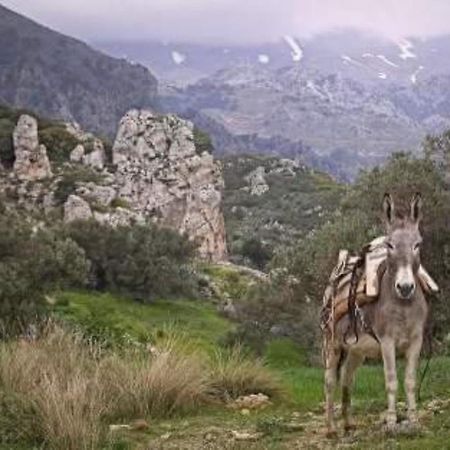 Traditional Cretan House Lithostrati Karidi Village Exterior foto