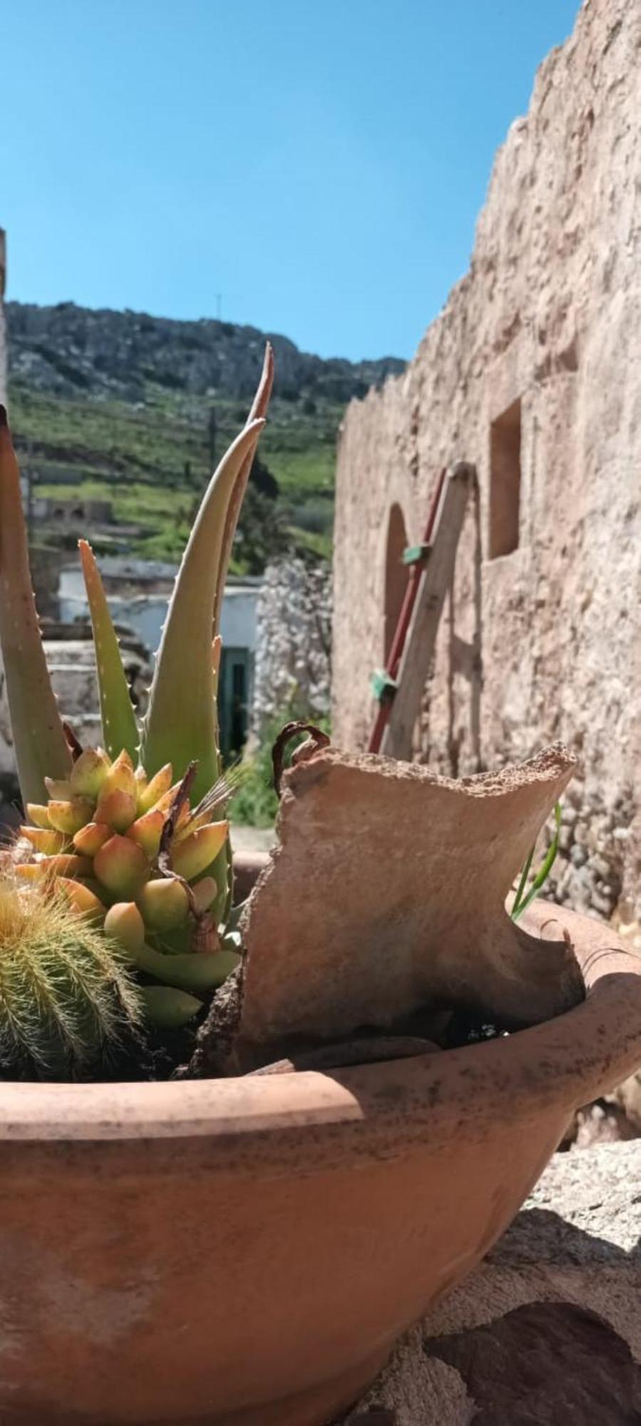 Traditional Cretan House Lithostrati Karidi Village Exterior foto